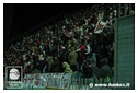 [Click per ingrandire l' immagine ]