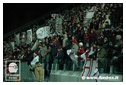 [Click per ingrandire l' immagine ]