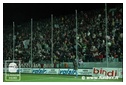 [Click per ingrandire l' immagine ]