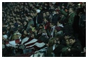 [Click per ingrandire l' immagine ]