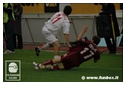[Click per ingrandire l' immagine ]