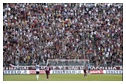 [Click per ingrandire l' immagine ]