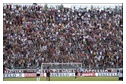 [Click per ingrandire l' immagine ]