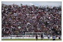 [Click per ingrandire l' immagine ]