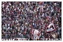[Click per ingrandire l' immagine ]