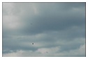 [Click per ingrandire l' immagine ]