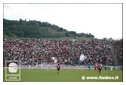 [Click per ingrandire l' immagine ]