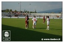 [Click per ingrandire l' immagine ]