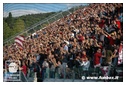 [Click per ingrandire l' immagine ]