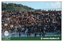 [Click per ingrandire l' immagine ]