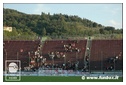 [Click per ingrandire l' immagine ]