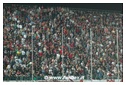[Click per ingrandire l' immagine ]