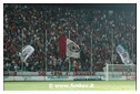 [Click per ingrandire l' immagine ]