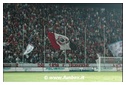 [Click per ingrandire l' immagine ]