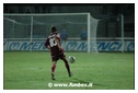 [Click per ingrandire l' immagine ]