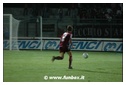 [Click per ingrandire l' immagine ]