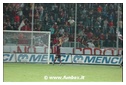 [Click per ingrandire l' immagine ]