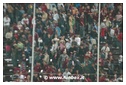 [Click per ingrandire l' immagine ]