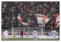 [Click per ingrandire l' immagine ]