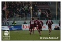 [Click per ingrandire l' immagine ]