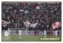 [Click per ingrandire l' immagine ]