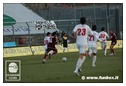 [Click per ingrandire l' immagine ]