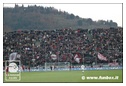 [Click per ingrandire l' immagine ]