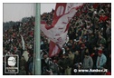 [Click per ingrandire l' immagine ]