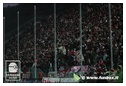 [Click per ingrandire l' immagine ]