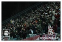 [Click per ingrandire l' immagine ]