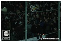 [Click per ingrandire l' immagine ]