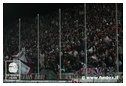 [Click per ingrandire l' immagine ]