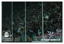 [Click per ingrandire l' immagine ]
