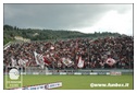 [Click per ingrandire l' immagine ]