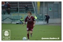 [Click per ingrandire l' immagine ]