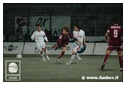 [Click per ingrandire l' immagine ]