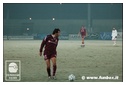 [Click per ingrandire l' immagine ]