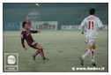 [Click per ingrandire l' immagine ]