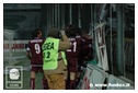 [Click per ingrandire l' immagine ]