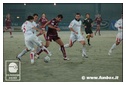 [Click per ingrandire l' immagine ]