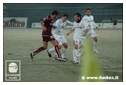 [Click per ingrandire l' immagine ]
