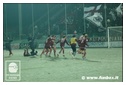 [Click per ingrandire l' immagine ]