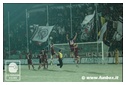 [Click per ingrandire l' immagine ]