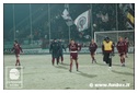 [Click per ingrandire l' immagine ]