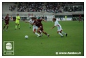 [Click per ingrandire l' immagine ]