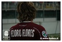 [Click per ingrandire l' immagine ]