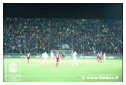 [Click per ingrandire l' immagine ]