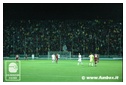 [Click per ingrandire l' immagine ]