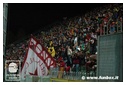 [Click per ingrandire l' immagine ]