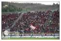 [Click per ingrandire l' immagine ]
